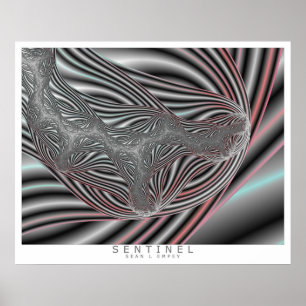 POSTER SENTINEL