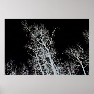 Poster Sentinel