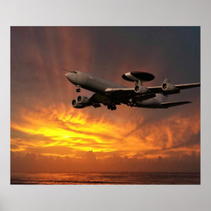 Poster Sentry E3D ZH102