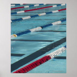 Poster Séparateurs en plastique dans une piscine création
