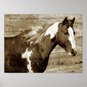 Poster Sepia Flashy avec citation