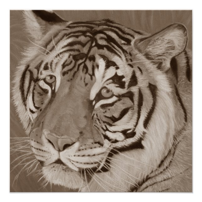 Poster sepia tiger gros chat faune originale art réaliste (Devant)