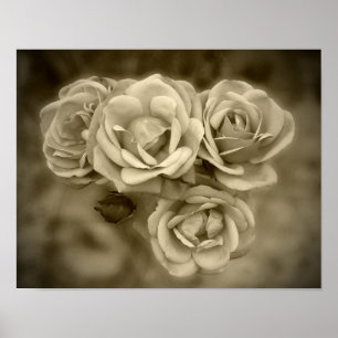 Poster Sépia vintage de roses