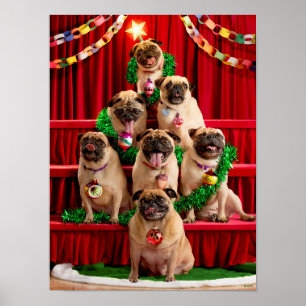 Poster Sept Carlins-à-Poser
