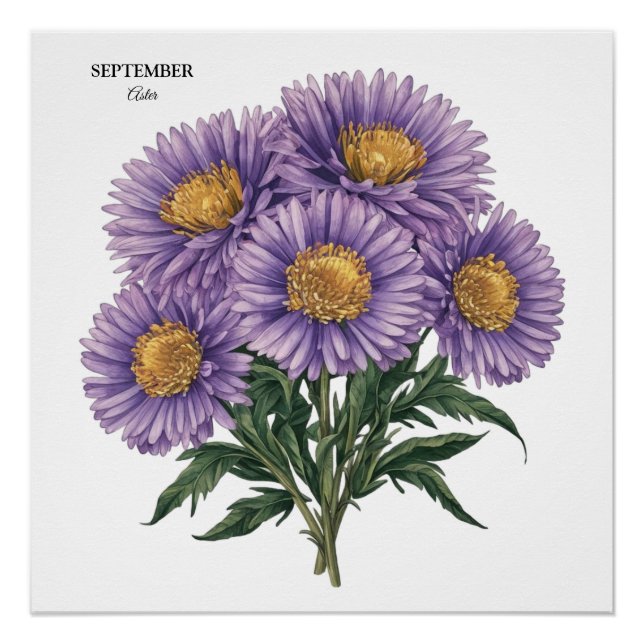 Poster Septembre Aster Mois de naissance Floral personnal (Devant)