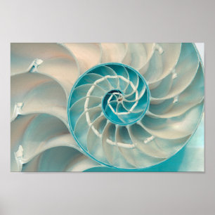 Poster - Séquence Fibonacci dans la nature La vie 