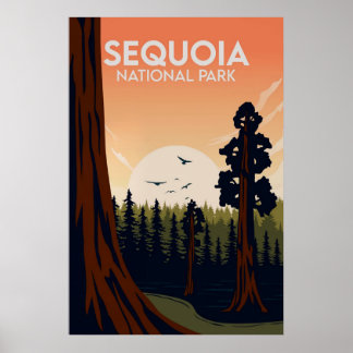 Poster Sequoia