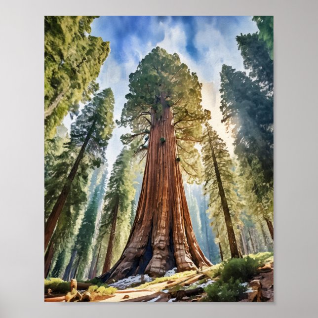 Poster Sequoia National Park California Watercolor (Devant)