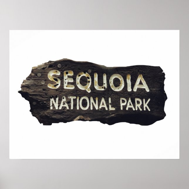 Poster Sequoia National Park Signet en bois (Devant)