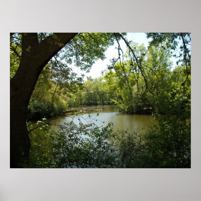 Poster serène (Devant)