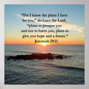 POSTER SERENE JEREMIAH 29:11 SCELER