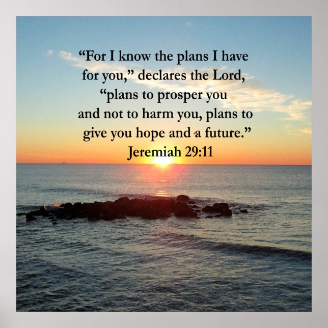POSTER SERENE JEREMIAH 29:11 SCELER (Devant)
