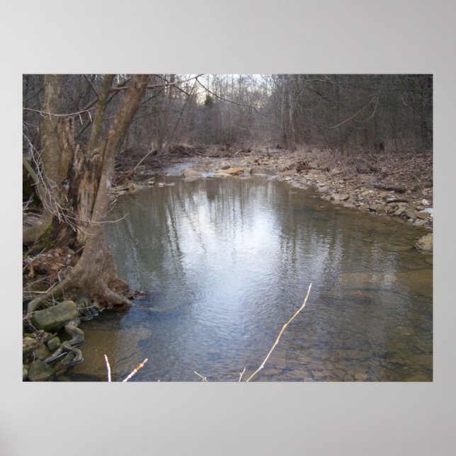 Poster Serene Stream (Devant)
