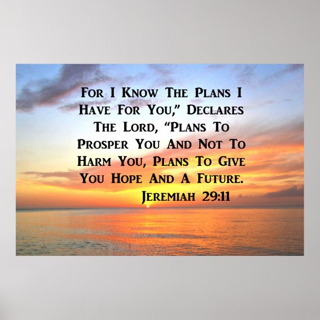 Poster SERENE SwaiISE JEREMIAH 29:11 BIBLE VERSE (Devant)