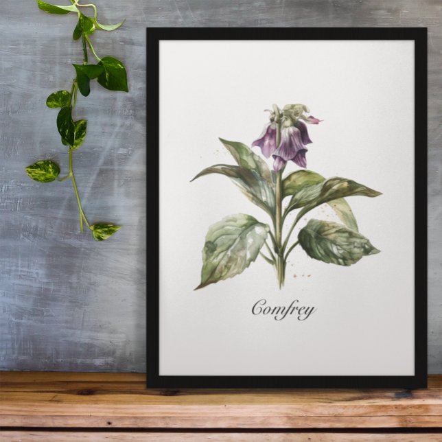 Poster Serene Watercolor Comfrey, personnalisée (Créateur téléchargé)