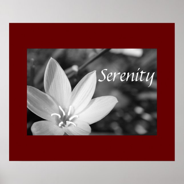 Poster Sérénité (Devant)