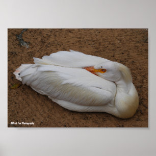Poster Sérénité en blanc