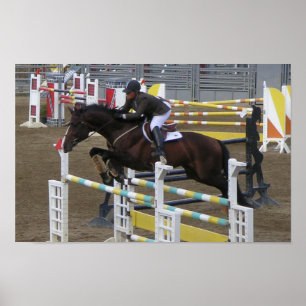 Poster Série de parc d'Estes (3)