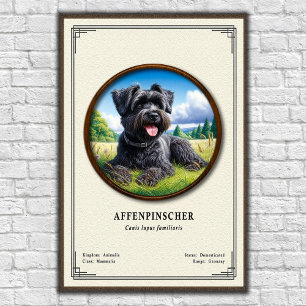 Poster Série de zoologie Affenpinscher