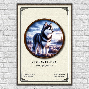 Poster Série de zoologie Alaskan Klee Kai