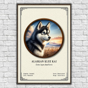 Poster Série de zoologie Alaskan Klee Kai