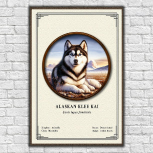 Poster Série de zoologie Alaskan Klee Kai