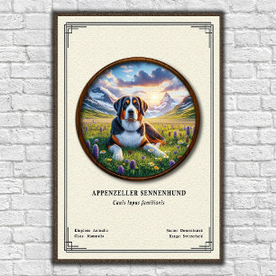 Poster Série de zoologie Appenzeller Sennenhund