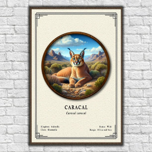 Poster Série de zoologie Caracal