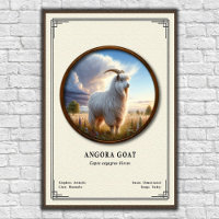 Série de zoologie de la chèvre angora