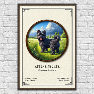 Poster Série de zoologie de l'Affenpinscher