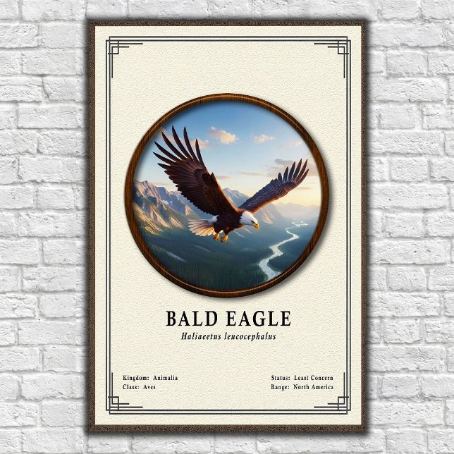 Poster Série de zoologie de l'aigle royal (Créateur téléchargé)