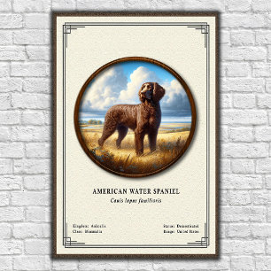 Poster Série de zoologie de l'American Water Spaniel