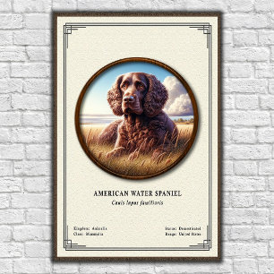 Poster Série de zoologie de l'American Water Spaniel