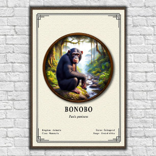 Poster Série de zoologie des bonobos