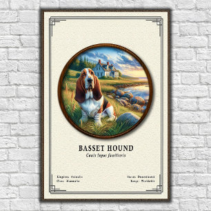 Poster Série de zoologie du Basset Hound