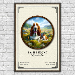 Poster Série de zoologie du Basset Hound