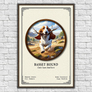Poster Série de zoologie du Basset Hound