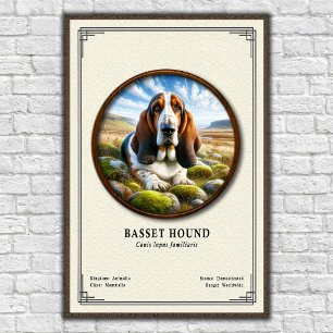 Poster Série de zoologie du Basset Hound