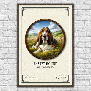 Poster Série de zoologie du Basset Hound