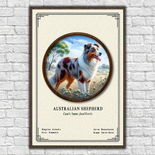 Poster Série de zoologie du Berger Australien