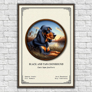 Poster Série de zoologie du Black and Tan Coonhound