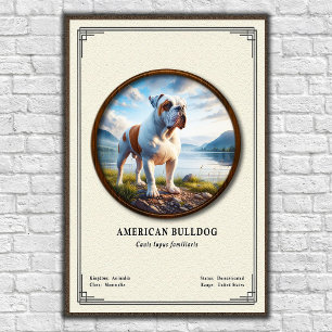 Poster Série de zoologie du bouledogue américain