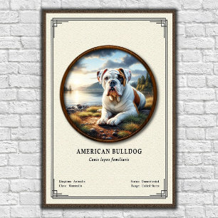 Poster Série de zoologie du bouledogue américain