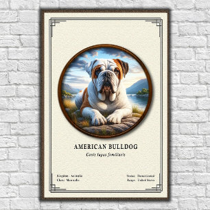 Poster Série de zoologie du Bulldog américain
