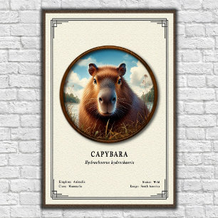 Poster Série de zoologie du capybara