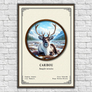 Poster Série de zoologie du caribou