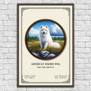 Poster Série de zoologie du chien esquimau américain