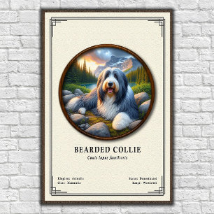Poster Série de zoologie du Colley barbu