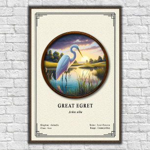 Poster Série de zoologie du Grand Héron