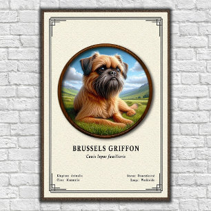 Poster Série de zoologie du Griffon de Bruxelles